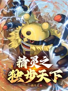 精灵宝可梦之登神长街精灵宝可梦之登神长街